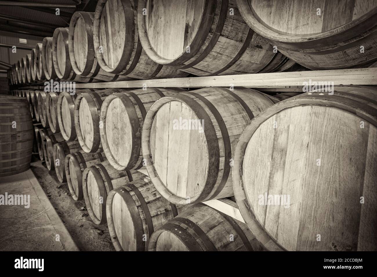 Toned image of a row of traditional full whisky barrels, set down to mature, in a large warehouse facility Stock Photo