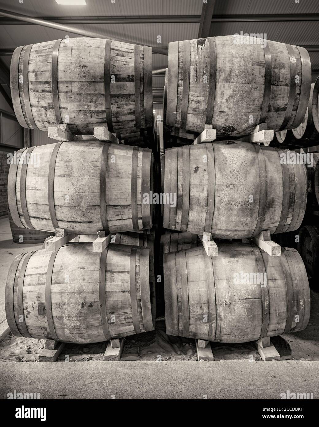 Stacks of traditional full whisky barrels, set down to mature, in a large warehouse facility Stock Photo