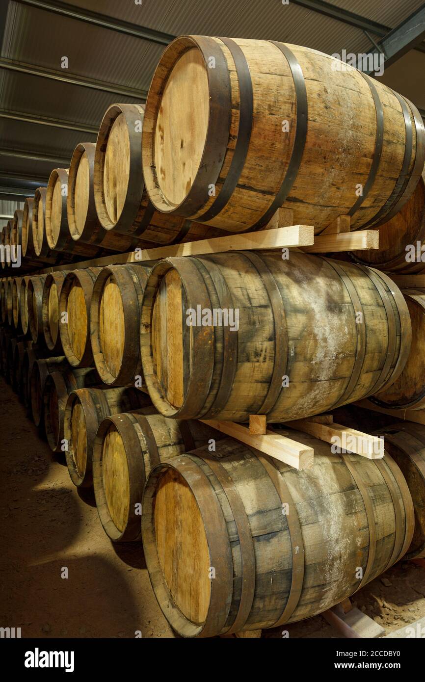 A row of stacks of traditional full whisky barrels, set down to mature, in a large warehouse facility Stock Photo