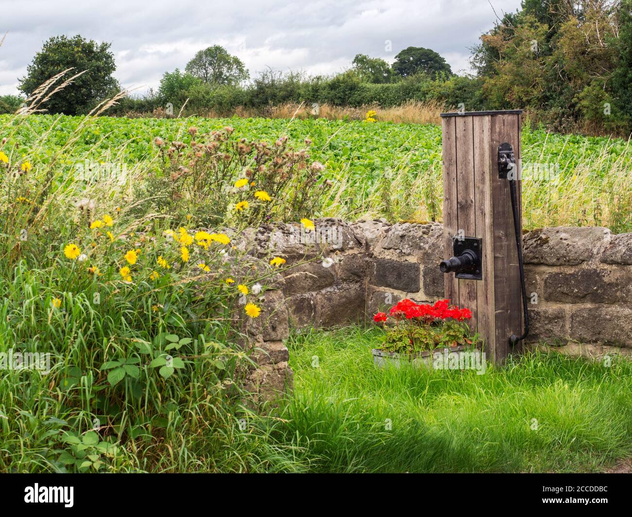 An old water pump with summer flower display on High Moor Lane near Brearton Harrogate North Yorkshire England Stock Photo
