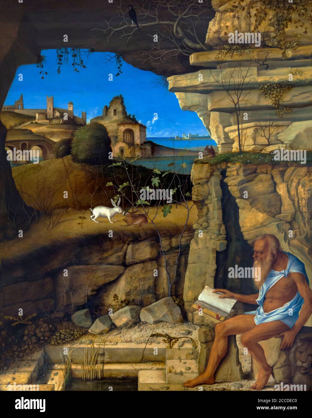Saint Jerome Reading, Giovanni Bellini, 1505, National Gallery of Art, Washington DC, USA, North America Stock Photo