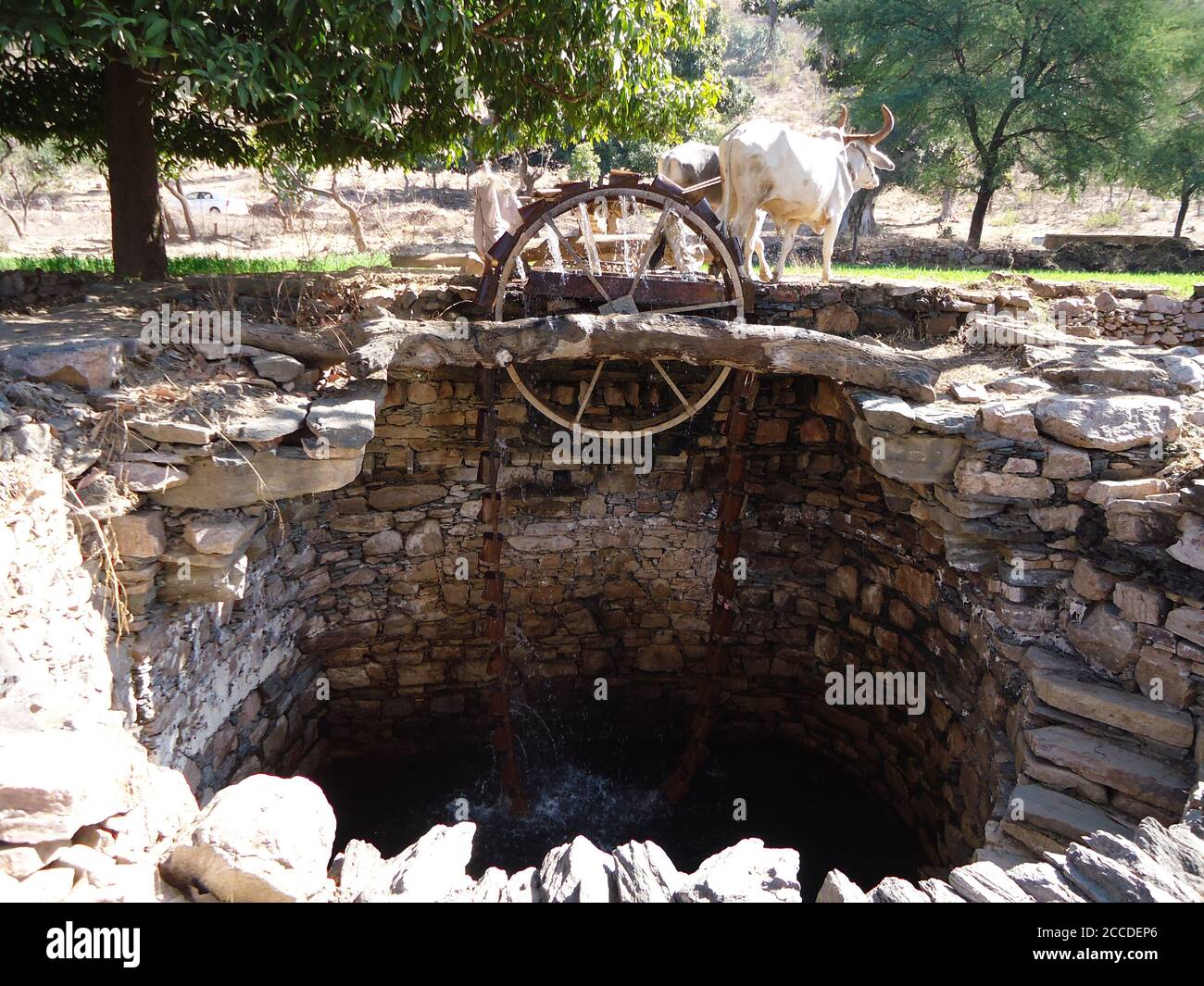 irrigation methods in rajasthan and gujarat,India Stock Photo