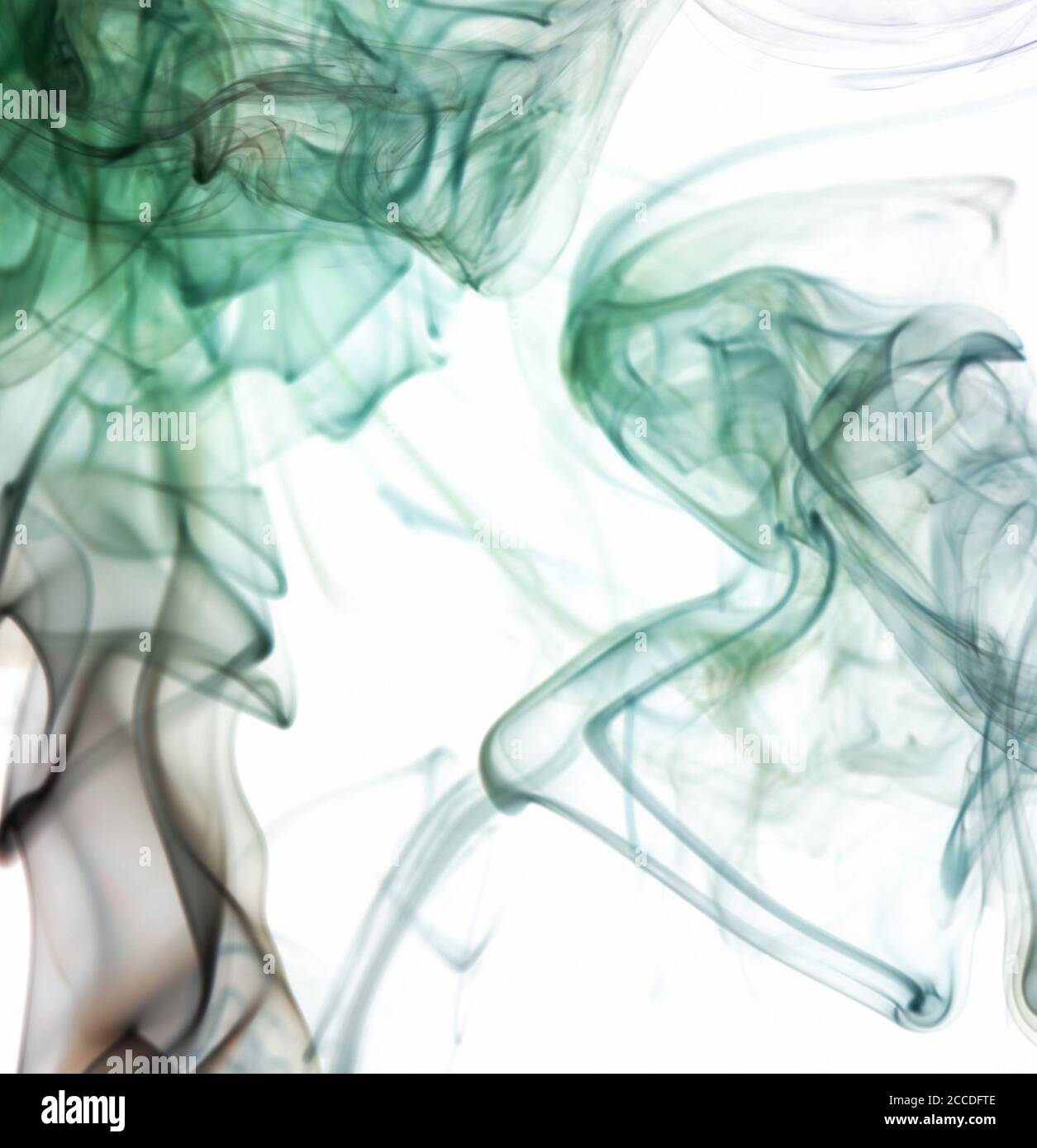 Green smooth abstract smoke lines on white background. Graphic design banner  Stock Photo - Alamy