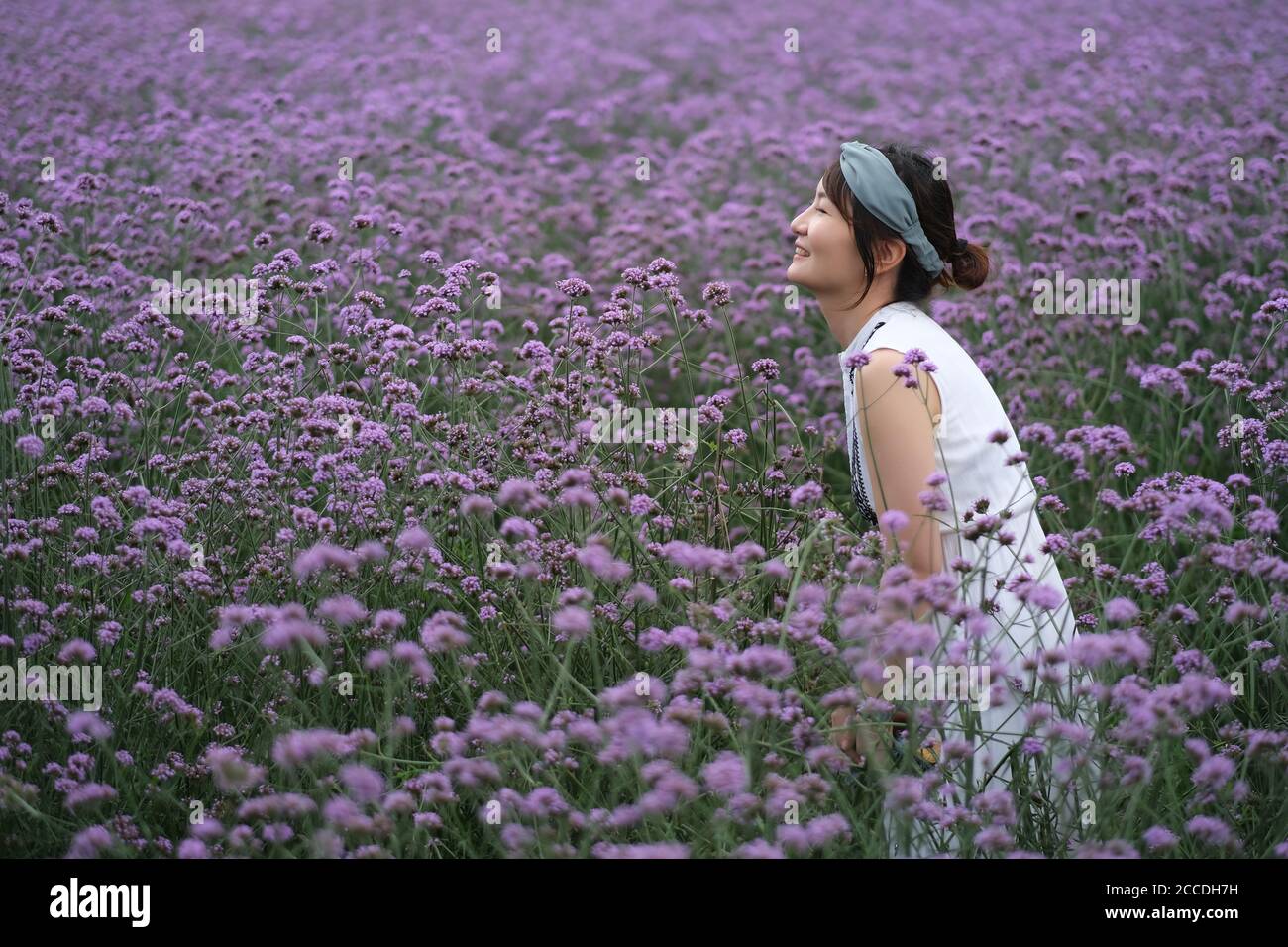 one beautiful young Asian woman standing in purple vervain bush, smiling happily. blur background Stock Photo