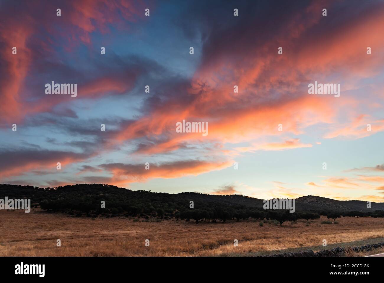golden clouds in the dehesa of Extremadura. Stock Photo