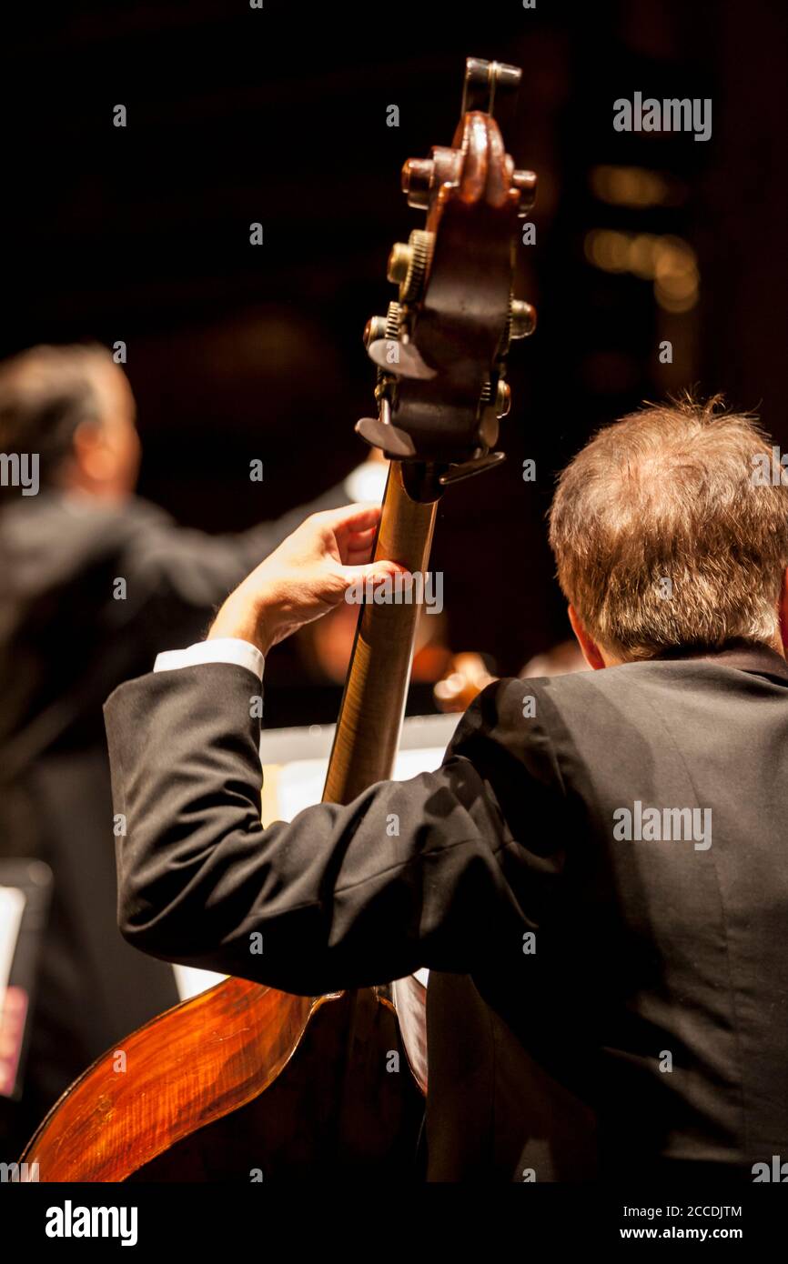 Unrecognizable male musician playing an upright or double bass with a classical orchestra. The conductor can be seen blurred in the background. Stock Photo