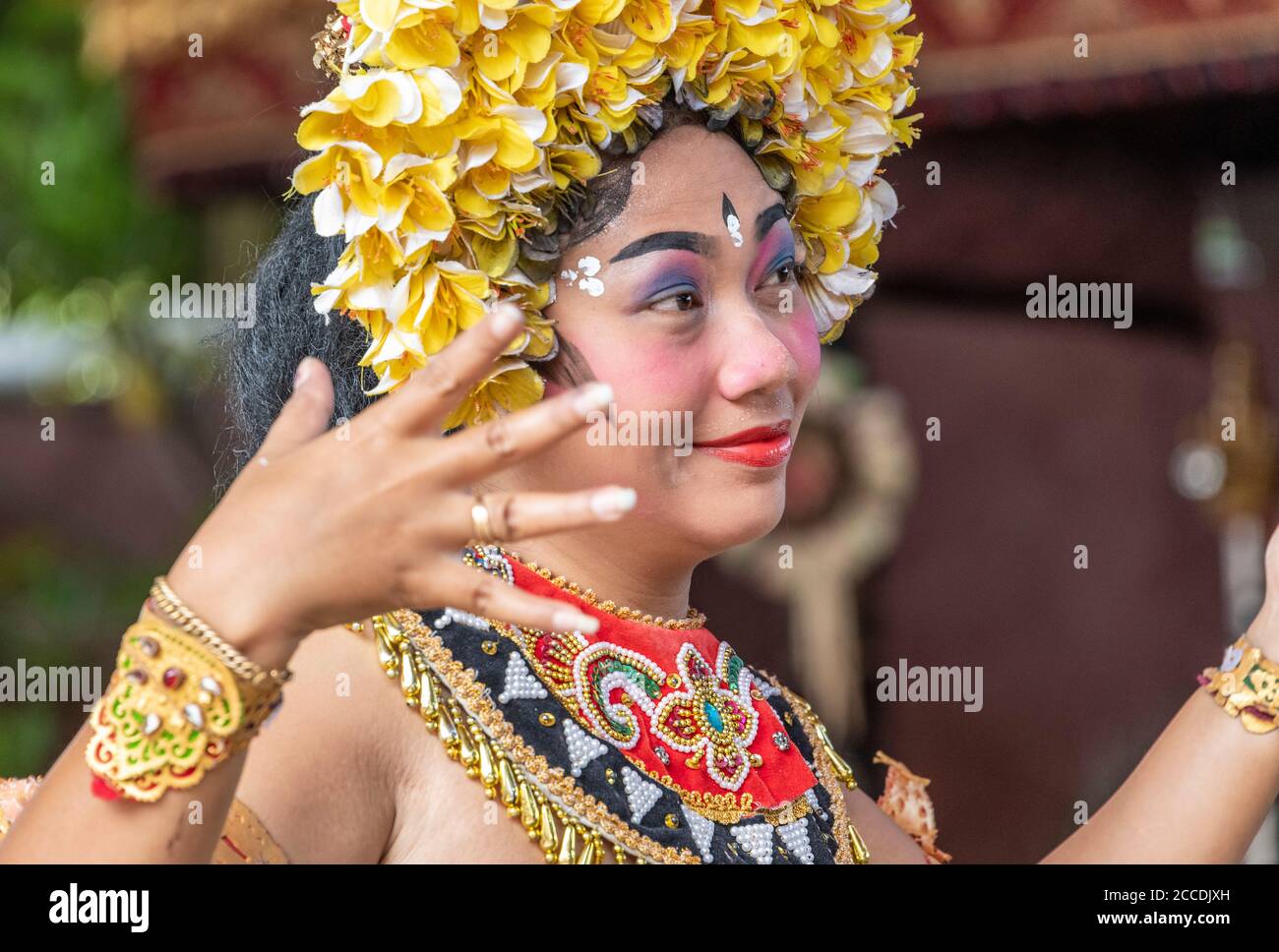 Barong animal dance is one of the traditional native Balinese dances. It is the most well known