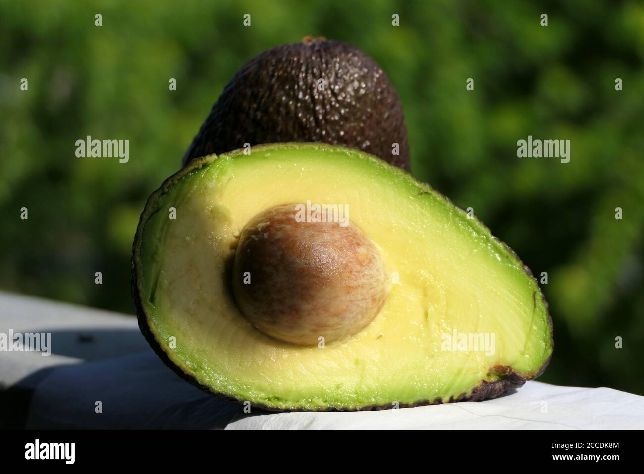 Avocado Pit Cut In Half High Resolution Stock Photography And Images Alamy