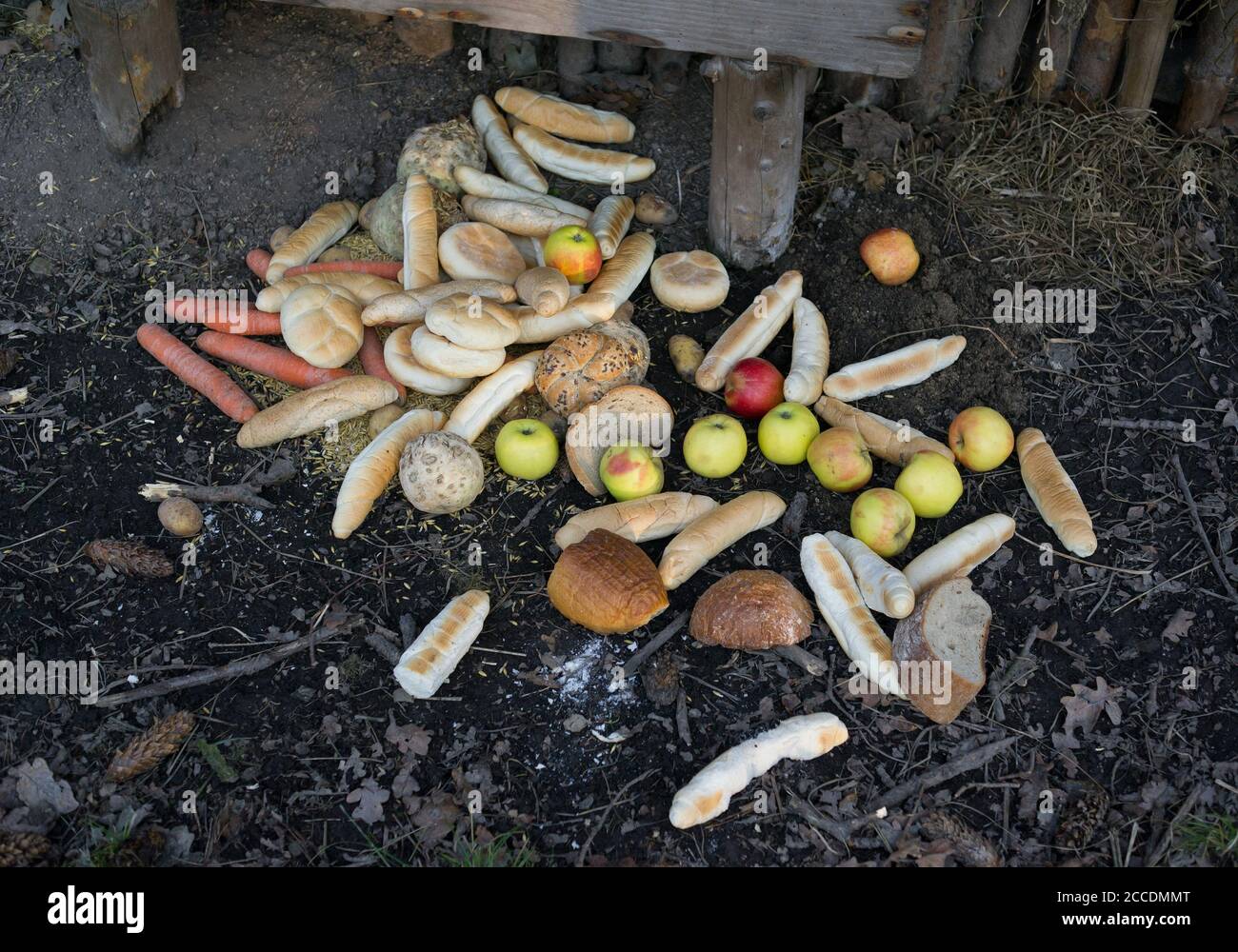 Feeding animal in the forest or farm. Vegetable, fruit, baked goods and bread in the feeder on the ground. Leaves, cones and brances around heap. Stock Photo