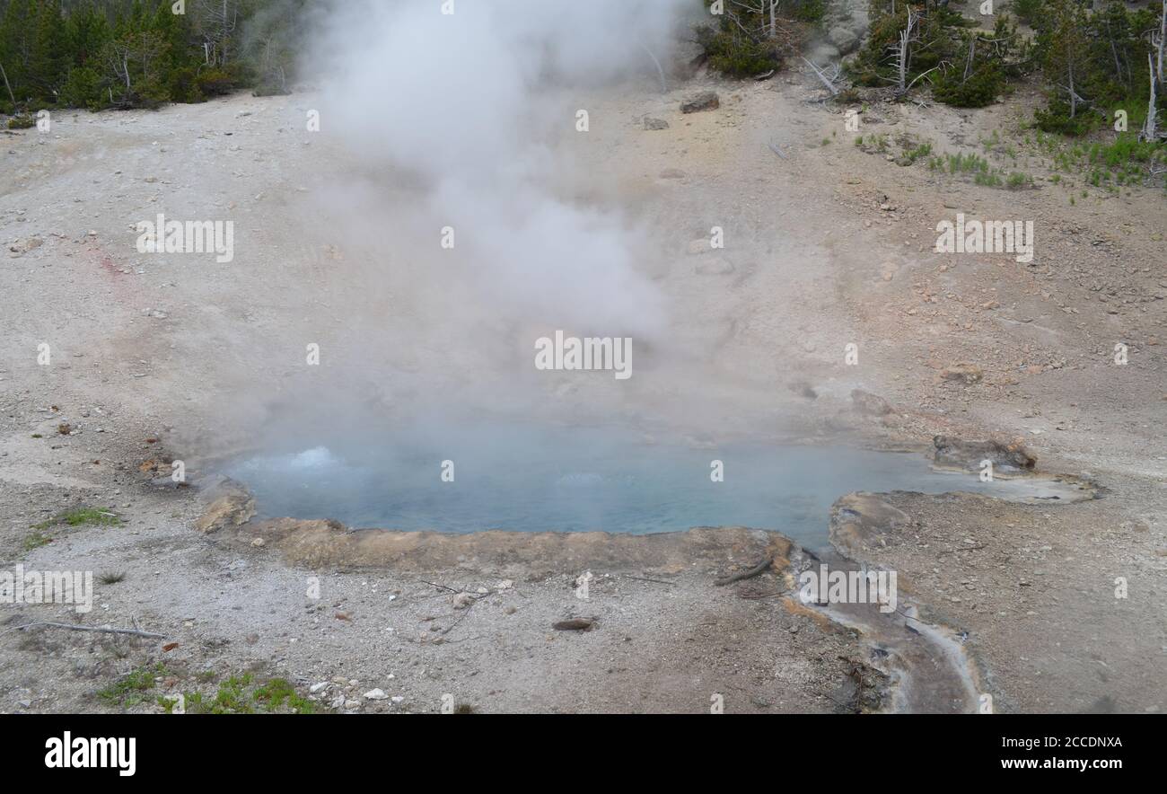 Late Spring in Yellowstone National Park: Beryl Spring Steams and Boils Along the Grand Loop Road in the Gibbon Canyon Group of Gibbon Geyser Basin Stock Photo