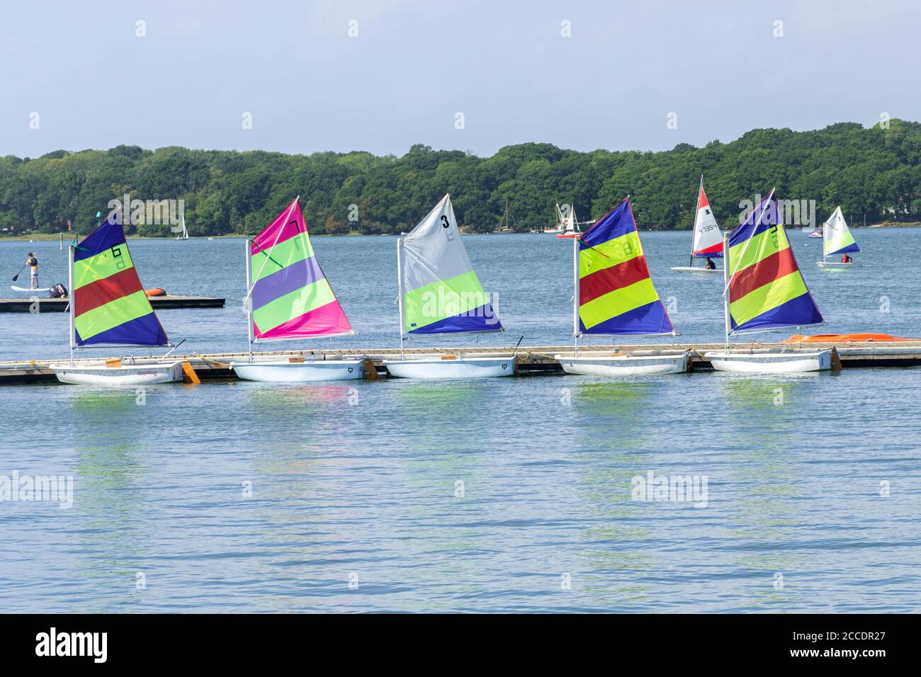 Sailing dinghies or boats with colourful sails lined up in Chichester Harbour, West Sussex, UK Stock Photo