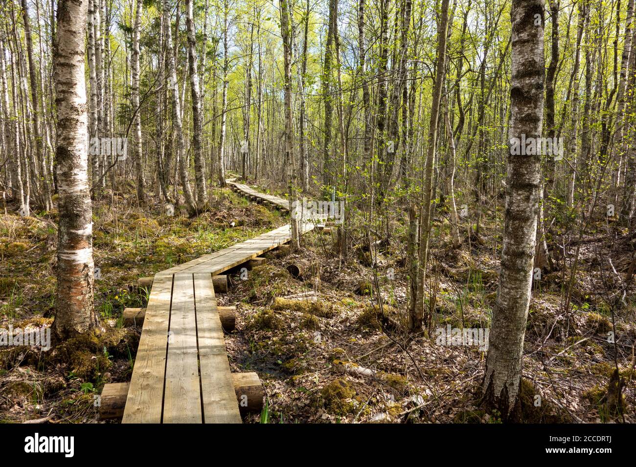 Finding a way hi-res stock photography and images - Alamy