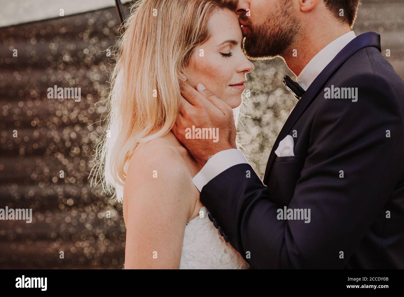Newlyweds kiss tenderly in hi-res stock photography and images - Alamy