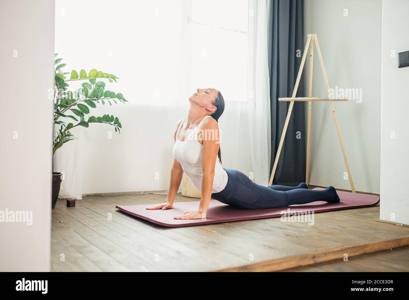 Girl doing bhujangasana cobra pose hi-res stock photography and images ...