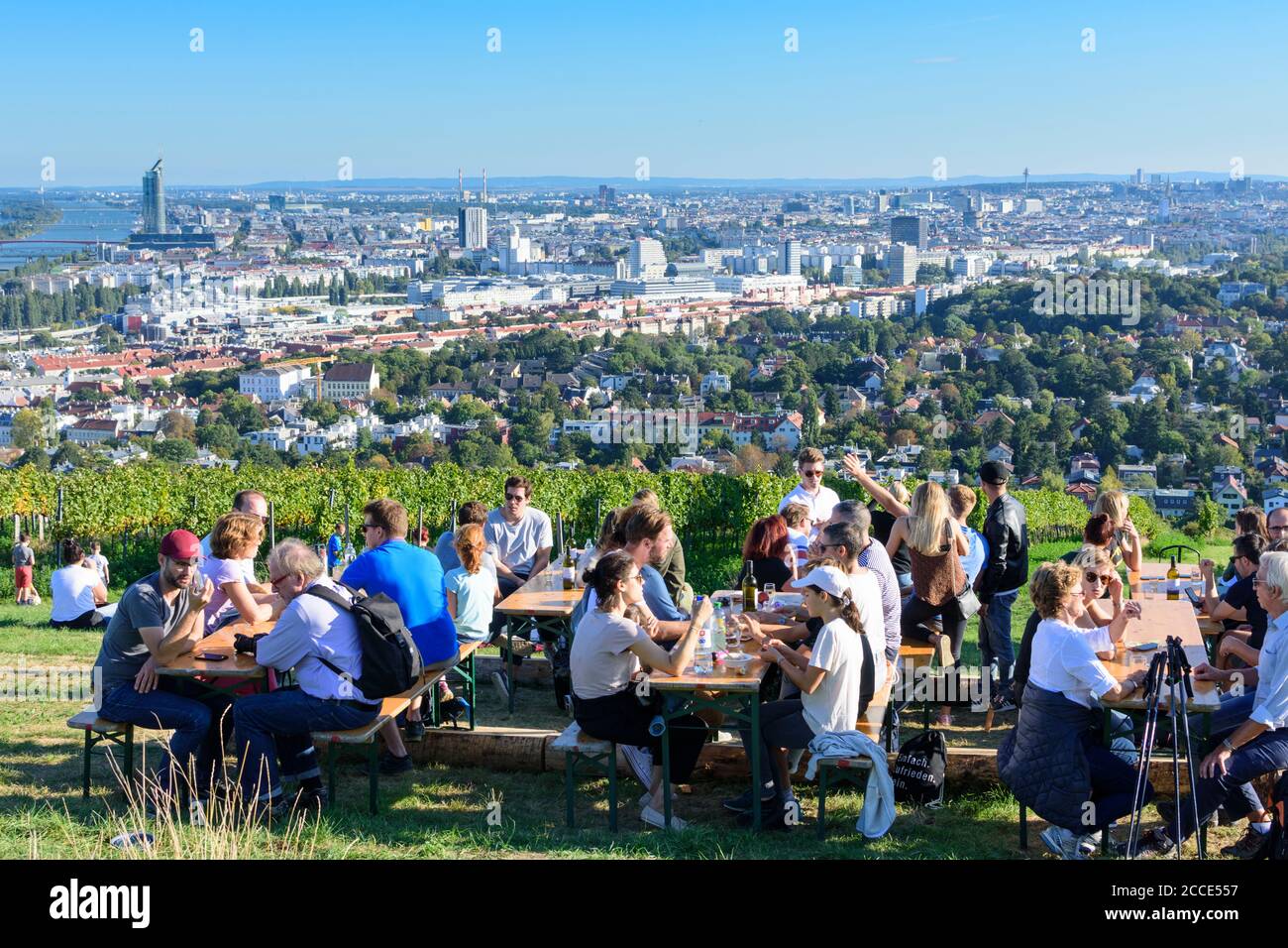 Vienna, people at Weinwandertag (wine hiking day) Wien, vineyard, wine refreshment station, view to city center and river Donau (Danube) in 19. Döblin Stock Photo