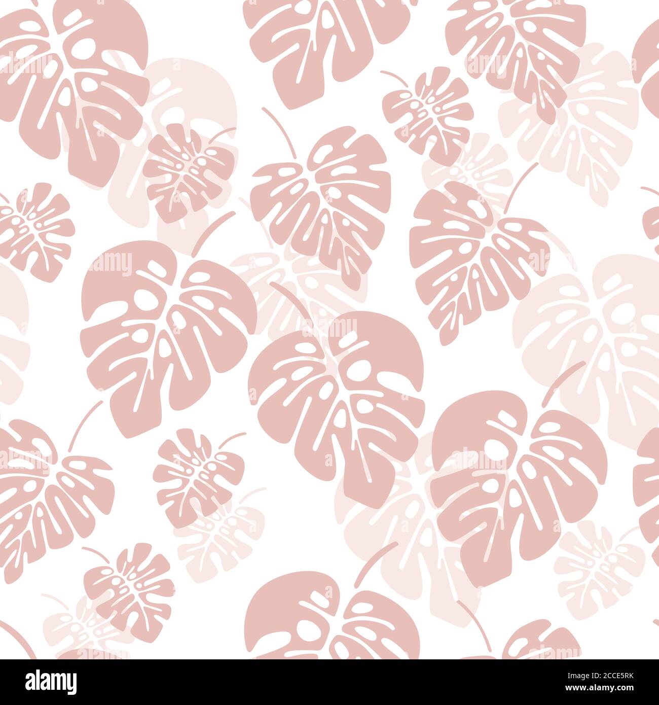 Summer seamless pattern with pink monstera palm leaves on white ...