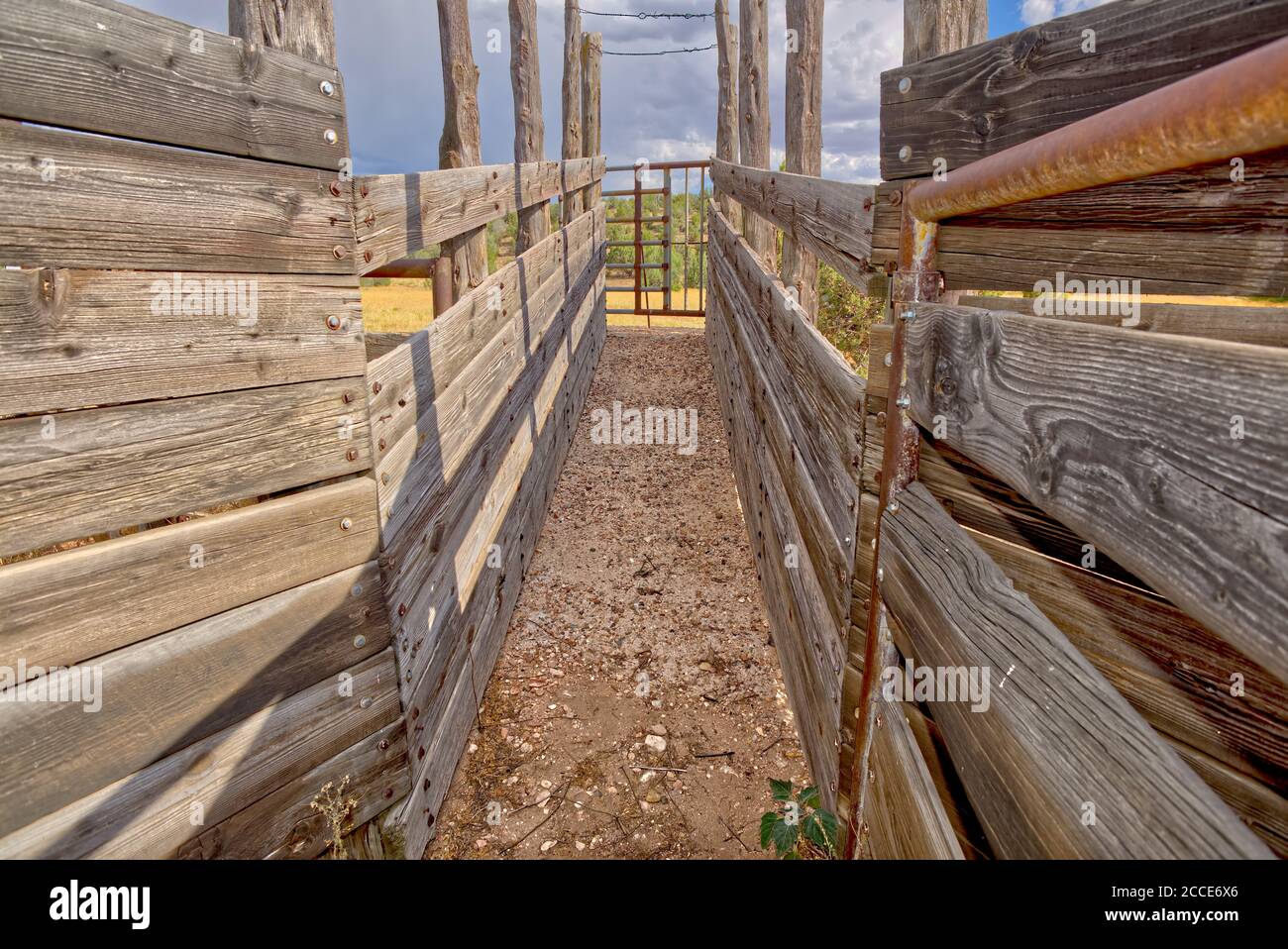 A cattle corral in the Prescott National Forest east of