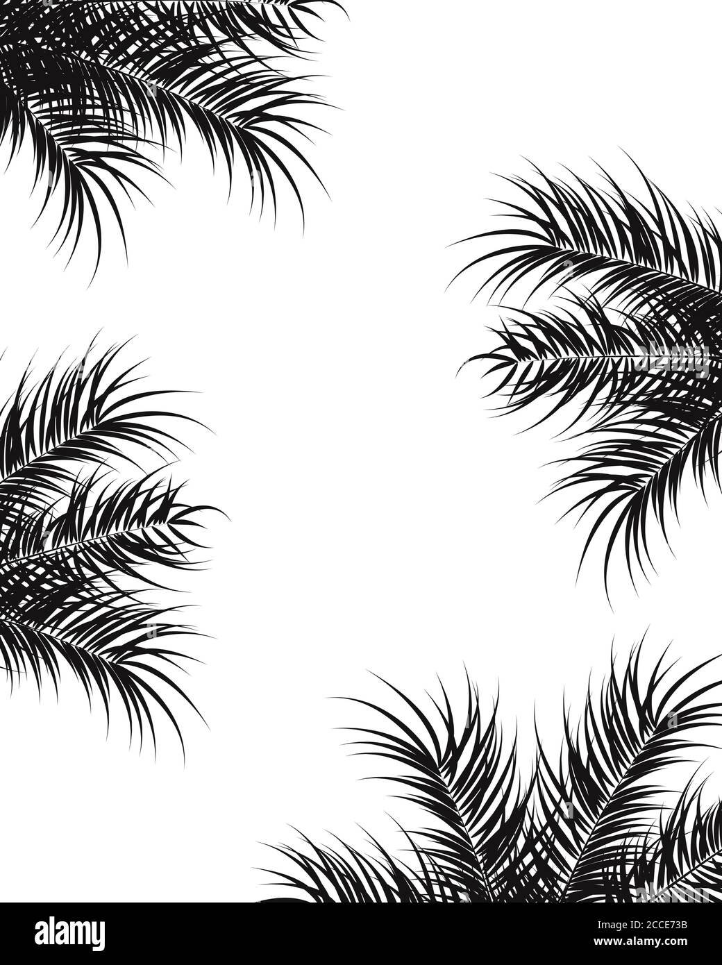 Tropical design with black palm leaves and plants on white background