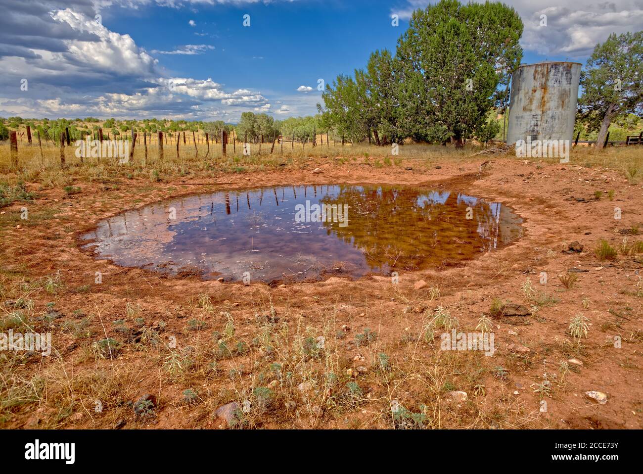 A pond of water at a cattle corral in the Prescott National
