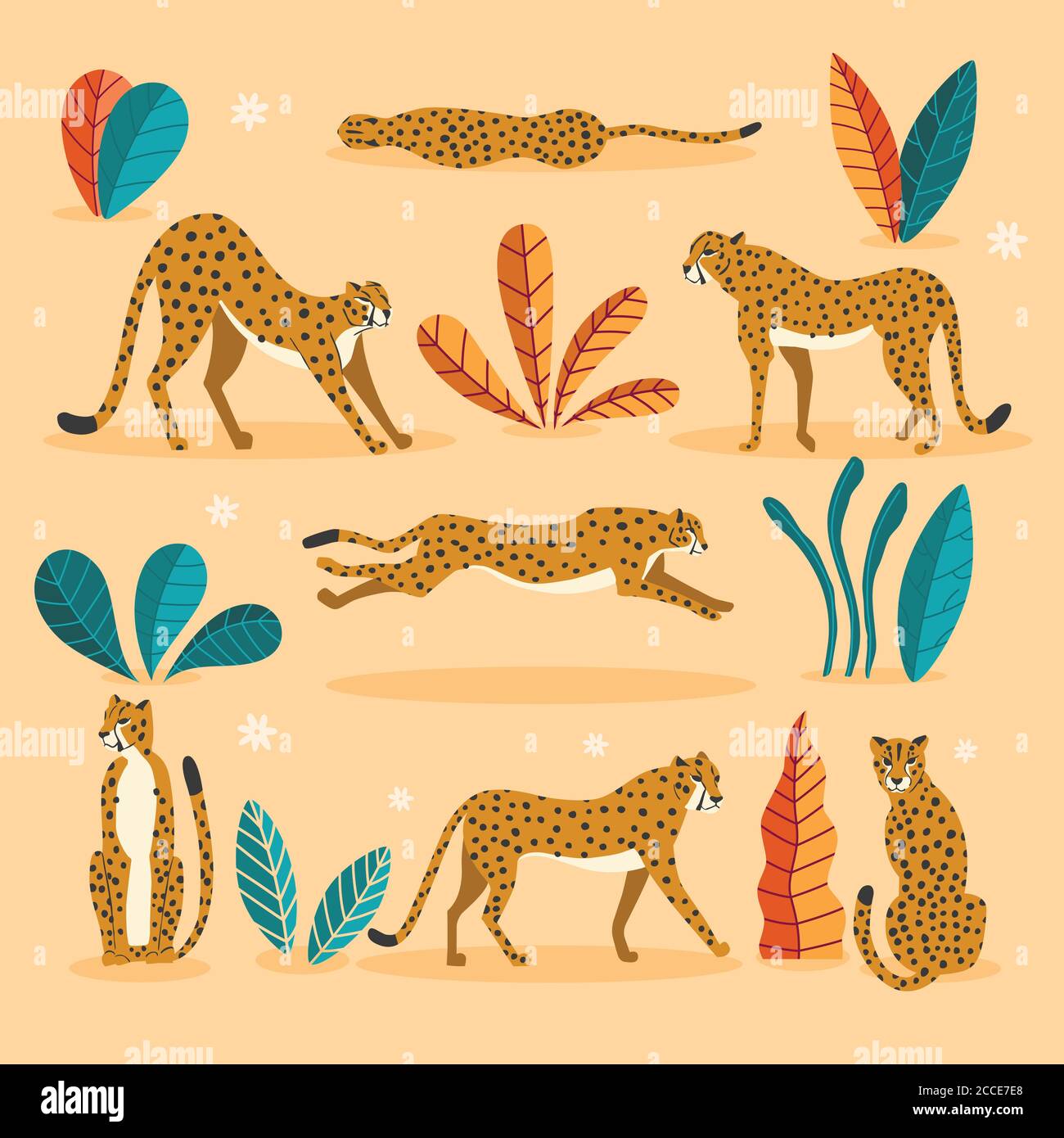 Cheetah Sports Stock Illustrations – 243 Cheetah Sports Stock