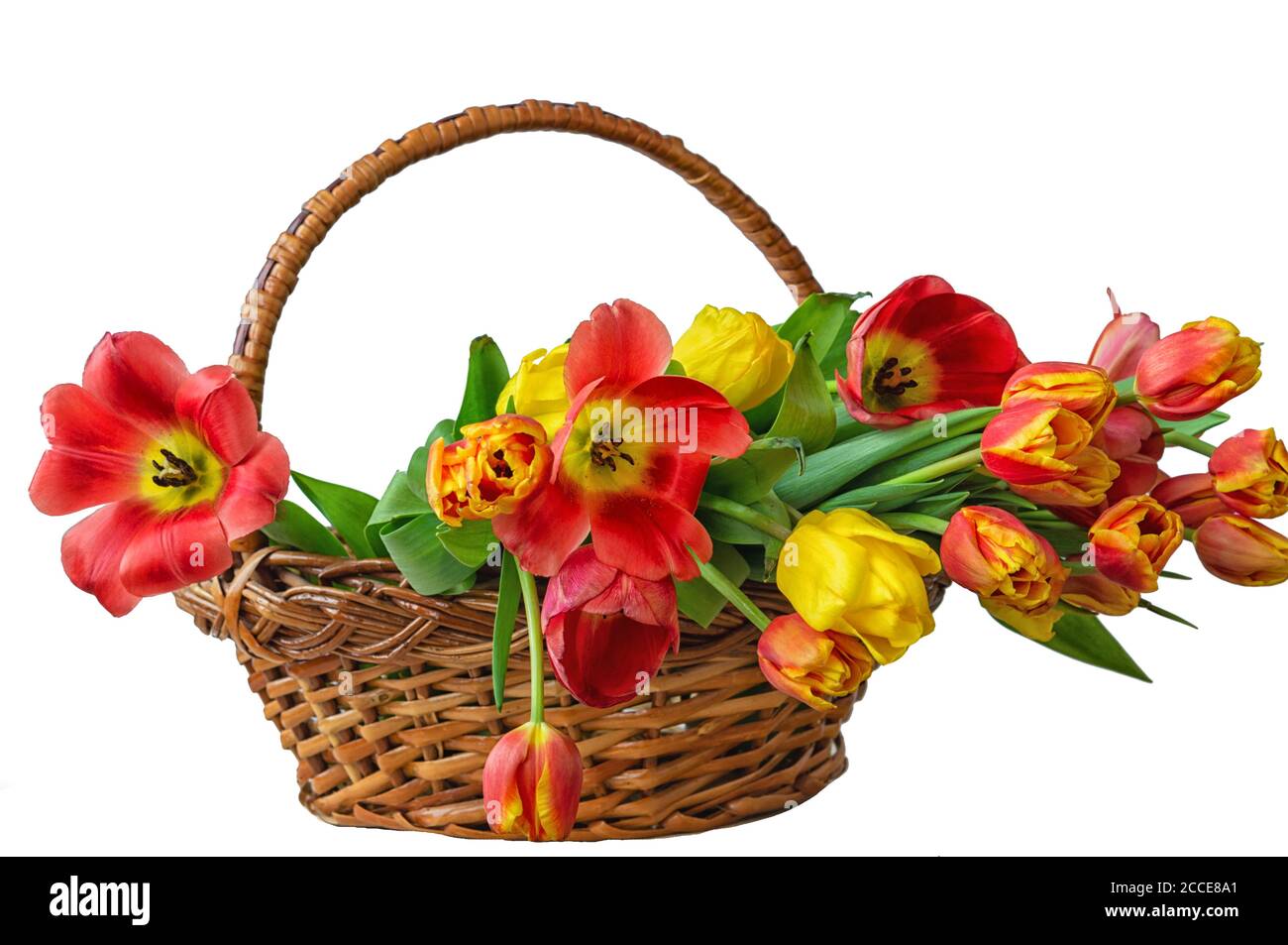 Bouquet of tulip flowers in the basket isolated on white background