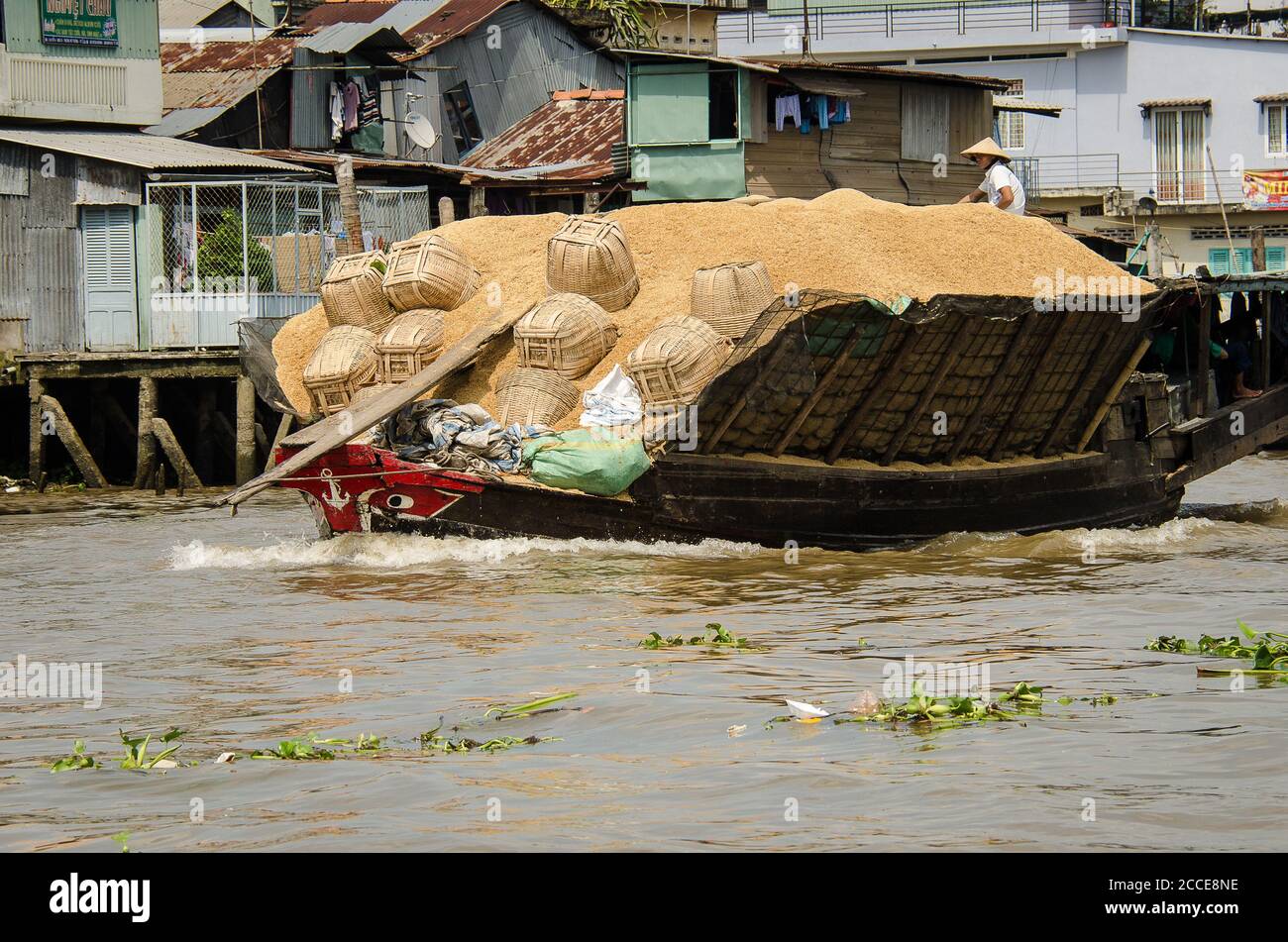 Transporting brown rice for export on the Mekong river Stock Photo - Alamy
