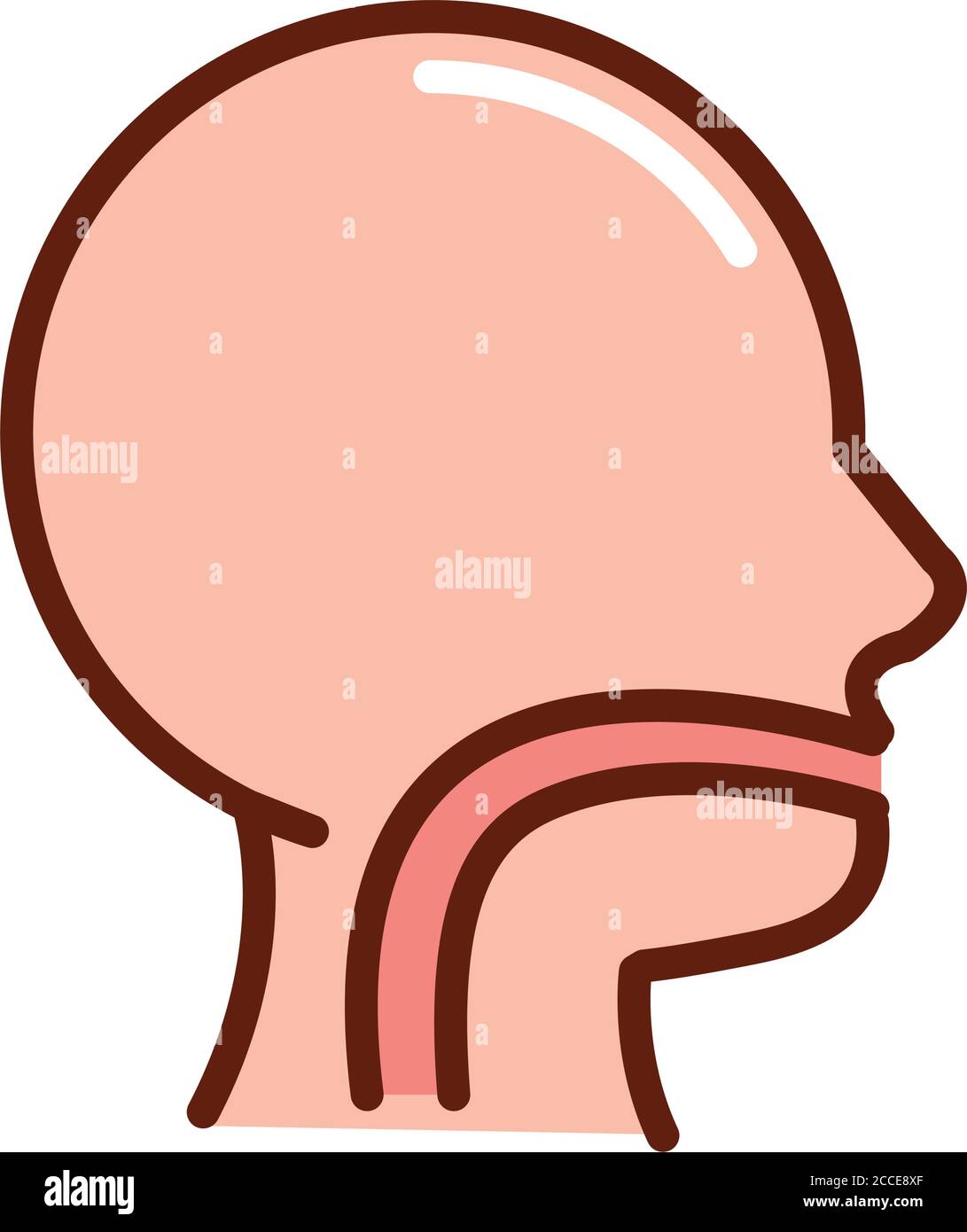 human body oral cavity esophagus anatomy organ health line and fill