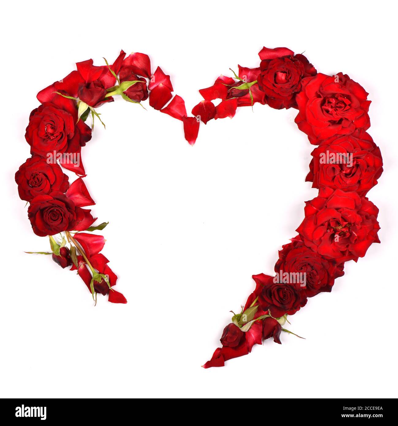 Beautiful red rose flowers set out in the form of heart. Isolated on ...