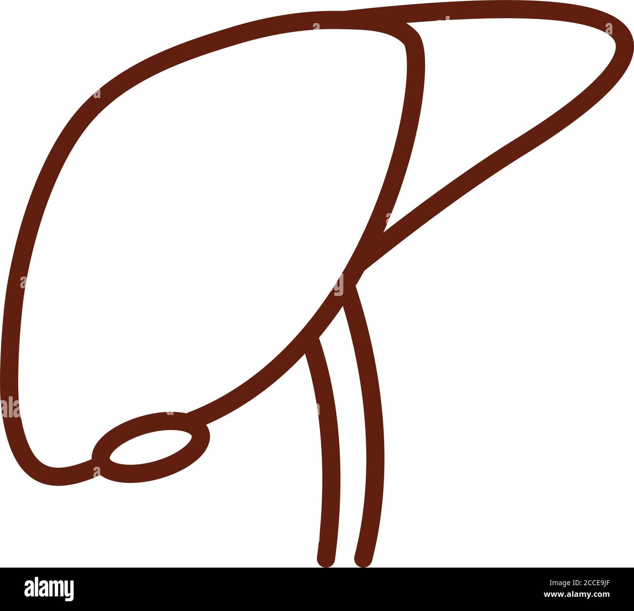 Liver illustration line drawing Cut Out Stock Images & Pictures - Alamy