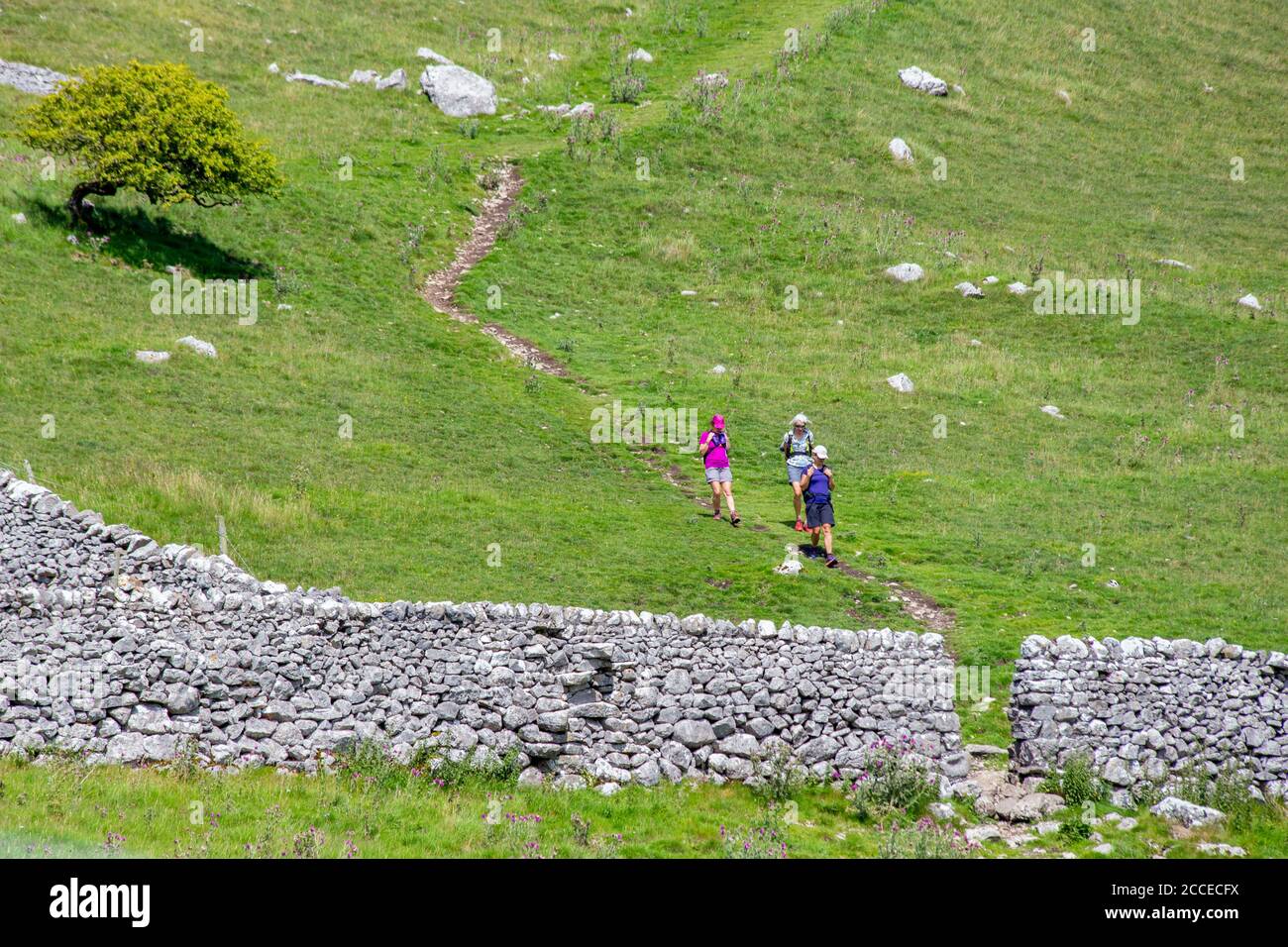 Walkers in Yorkshire Dales National Park, Yorkshire, England Stock