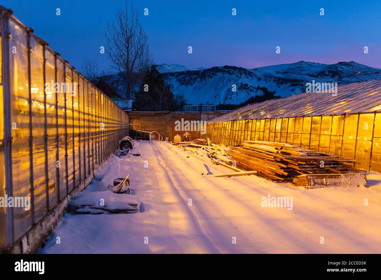 Industrial greenhouses for growing plants in winter Stock Photo Alamy