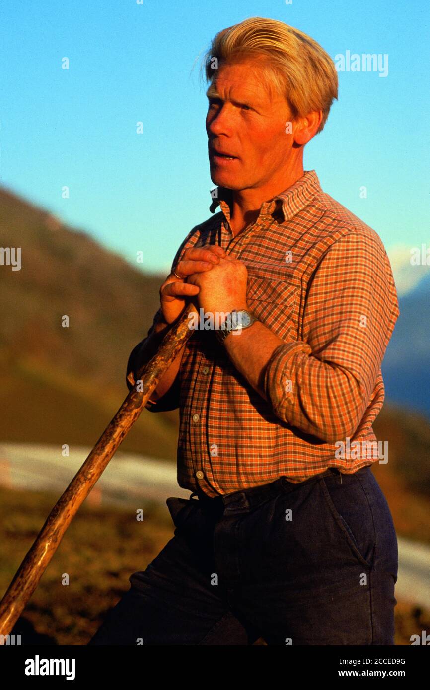 Italy, Trentino-South Tyrol, Alto Adige, Vinschgau, from old life, mountain farmers in South Tyrol, Naturnser Sonnenberg, Pircher-Hof, manure spread Stock Photo