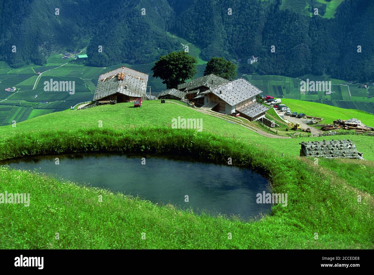 Italy, Trentino-South Tyrol, Alto Adige / South Tyrol, Vinschgau, From old life, mountain farmers, agriculture, organic, sustainability, nature, manua Stock Photo