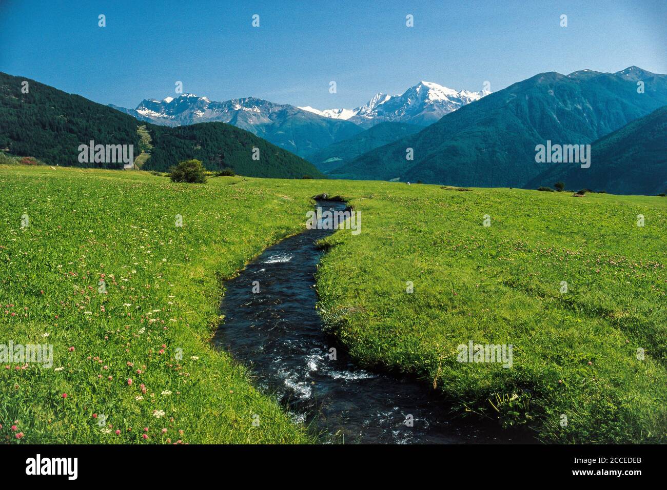 Italy, Trentino-South Tyrol, Alto Adige / South Tyrol, Vinschgau, From old life, mountain farmers, agriculture, organic, sustainability, nature, manua Stock Photo