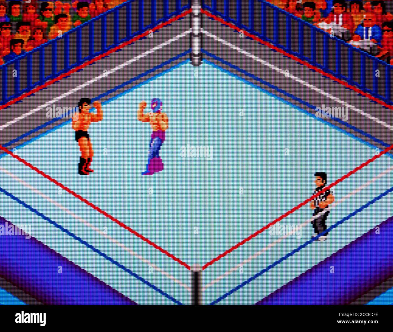 Game Boy Advance - Final Fire Pro Wrestling - Yume no Dantai