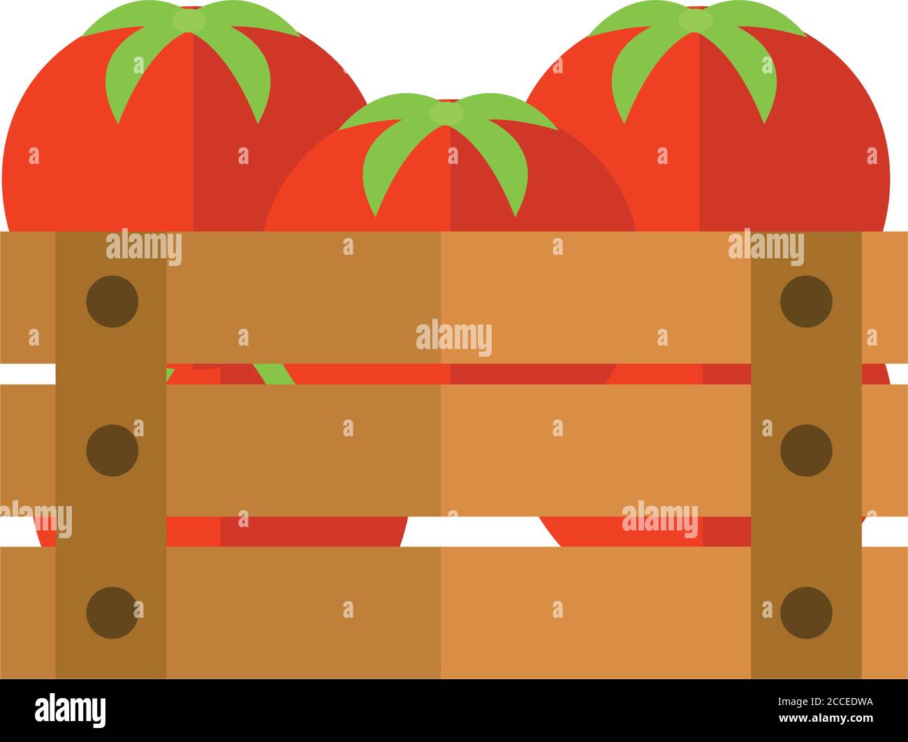 Industrial tomatoes Stock Vector Images - Alamy