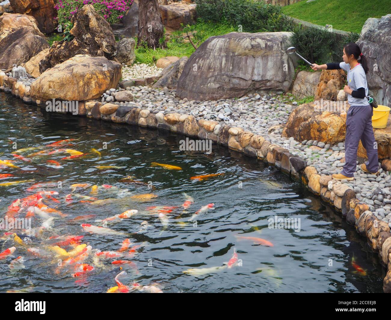 Chinese woman feeding Koi carp, Nan Lian Gardens, Kong Kong, China Stock Photo