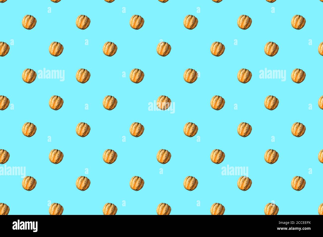 Seamless Pattern made with pumpkin vegetable on blue background. Stock Photo