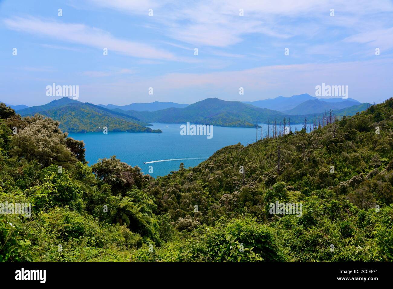 Queen charlotte sounds hi-res stock photography and images - Alamy