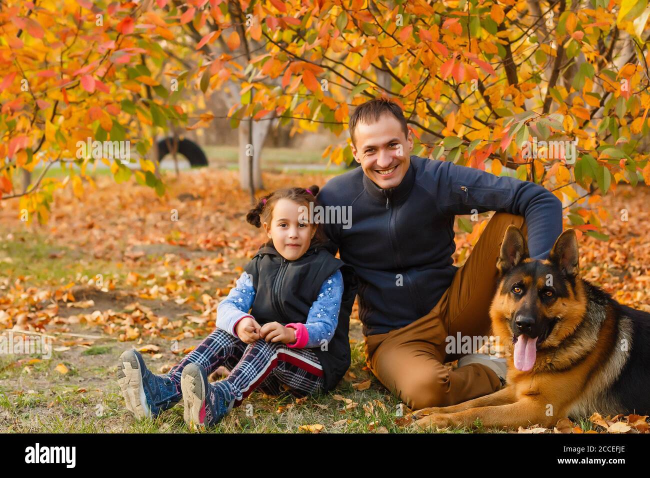 Happy father and daughter in autumn park on yellow leaves Stock Photo ...