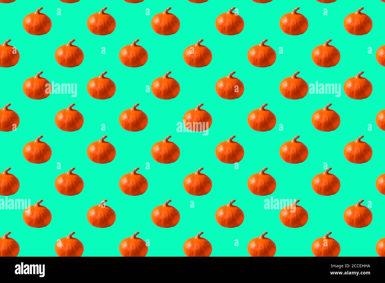 Seamless Pattern made with pumpkin vegetable on neo mint background. Stock Photo