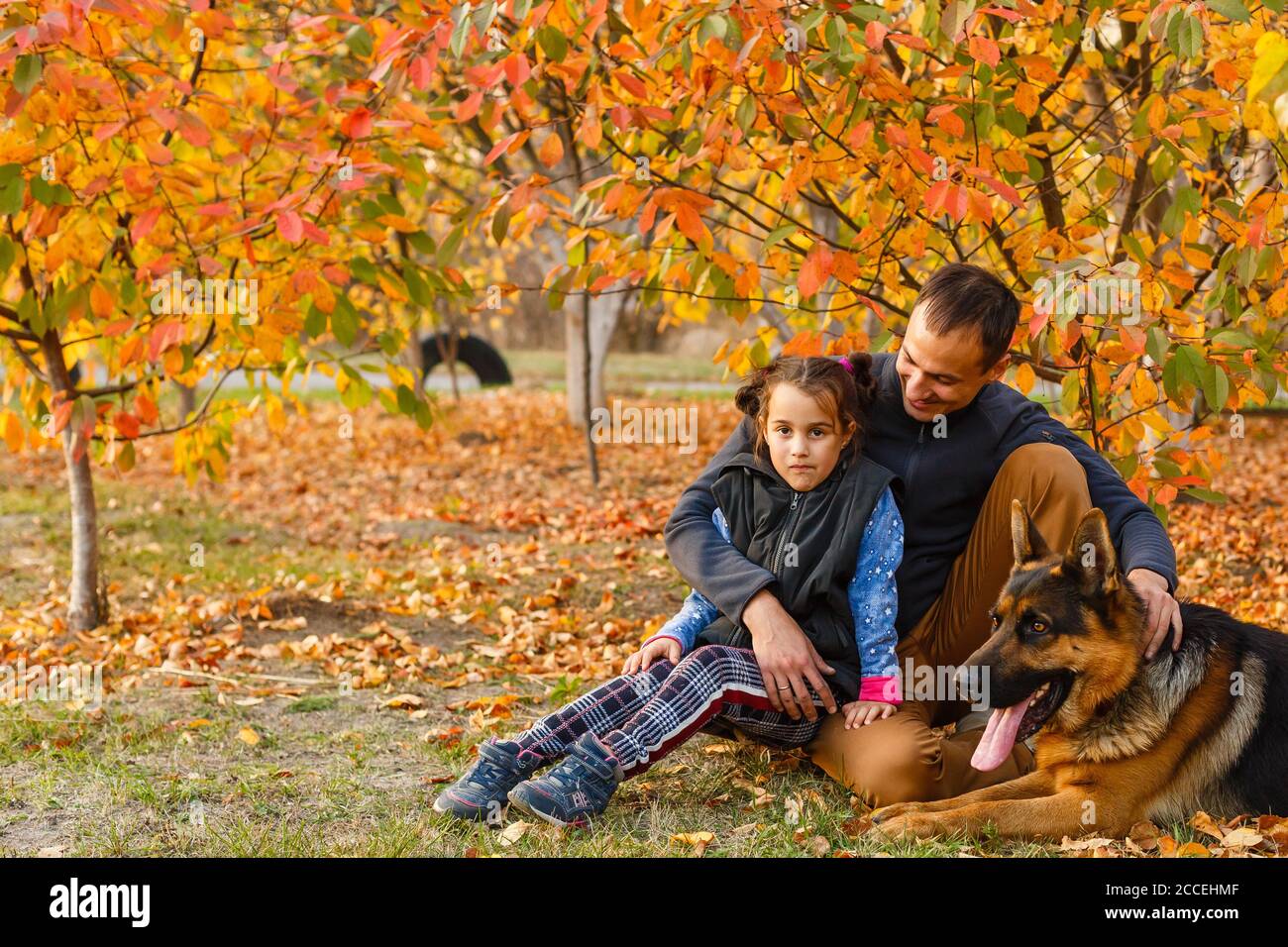 Happy father and daughter in autumn park on yellow leaves Stock Photo ...