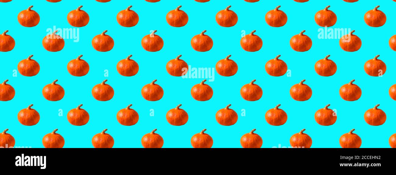 Seamless Pattern made with pumpkin vegetable on neo mint background. Stock Photo