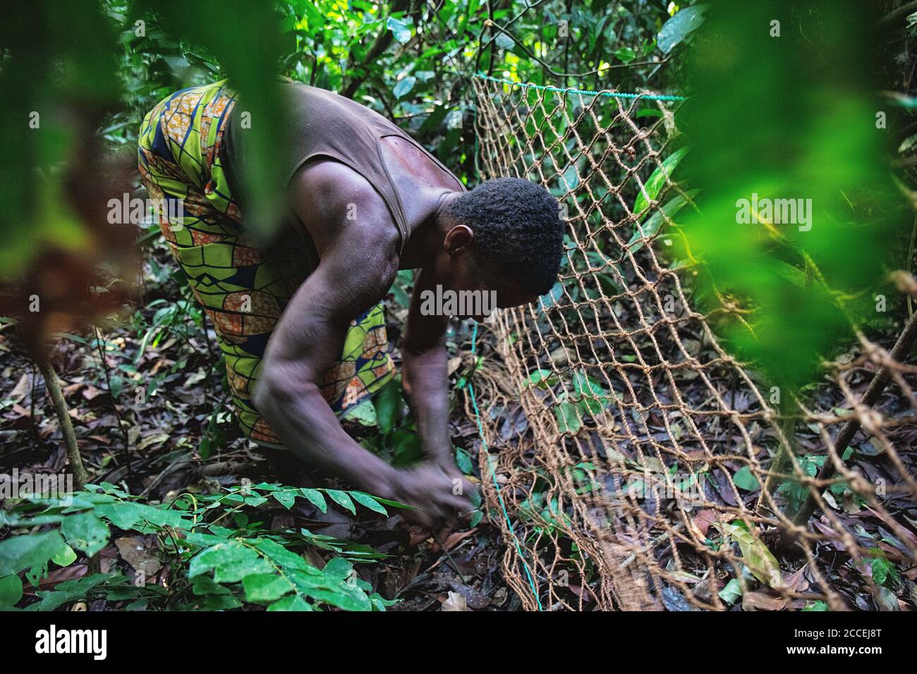 Pygmy tribe in the Dzanga-Sanha Forest Reserve, Central African ...