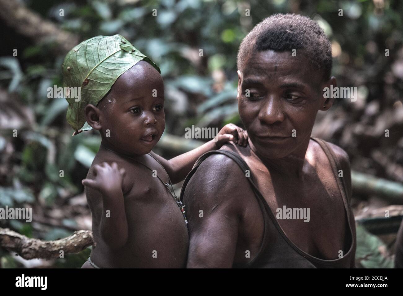 Pygmy tribe in the Dzanga-Sanha Forest Reserve, Central African ...