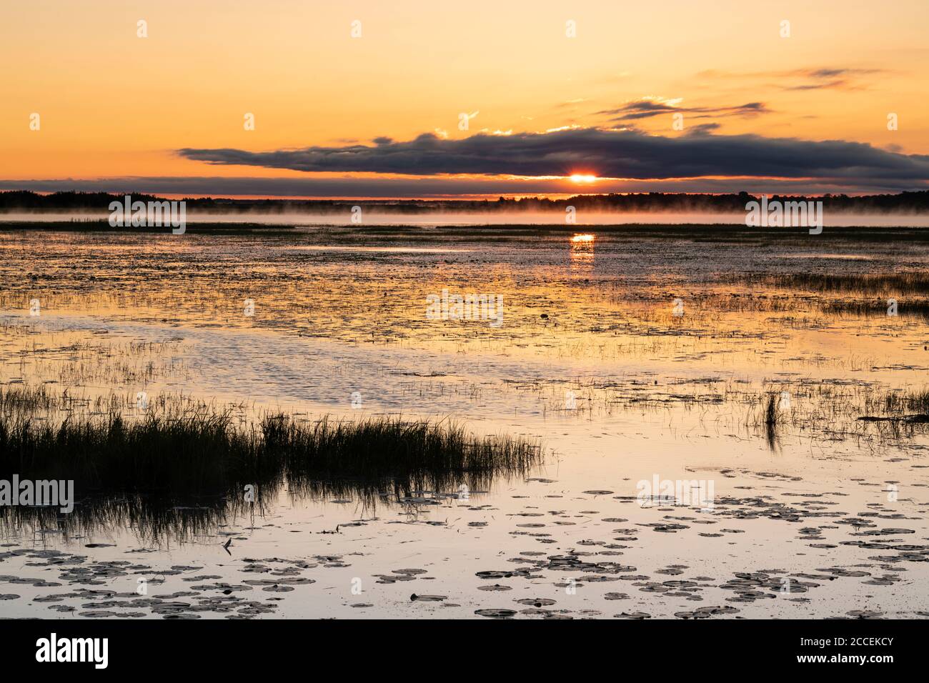 Sunrise over lake, Wisconsin, USA, by Dominique Braud/Dembinsky Photo Assoc Stock Photo