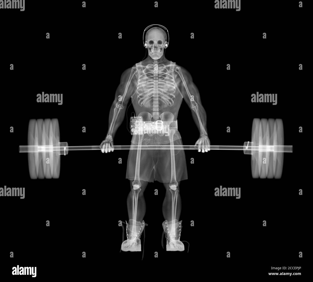 Skeleton weightlifter, Xray Stock Photo Alamy