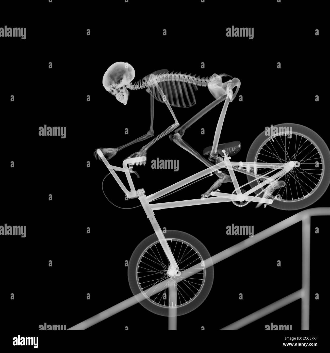 Skeleton bike stunt, X-ray Stock Photo