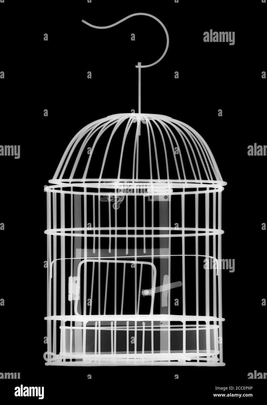 Bird cage, X-ray Stock Photo