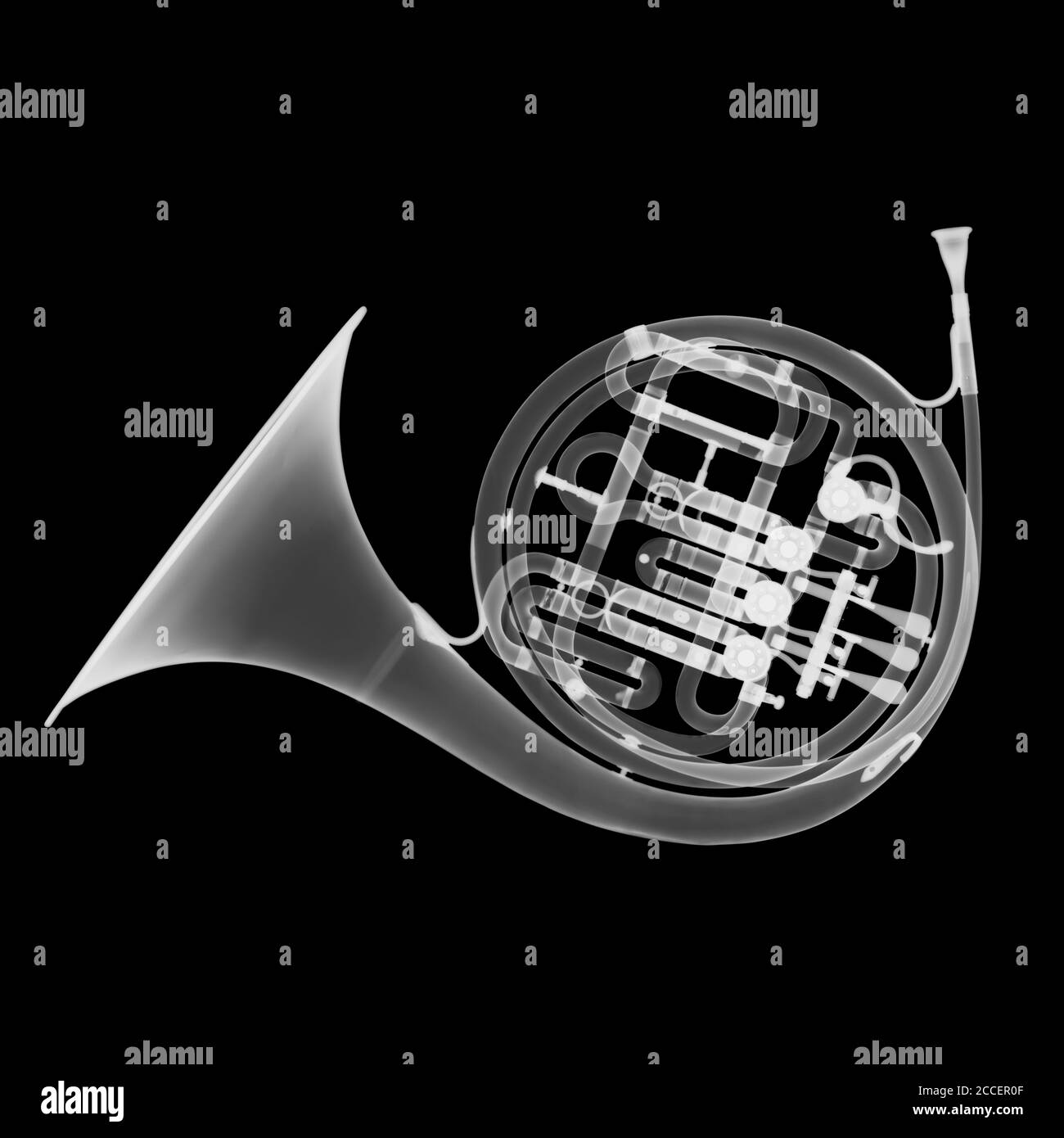 Brass French horn, X-ray Stock Photo